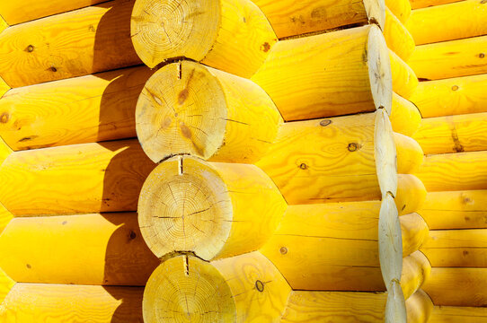 Wooden construction background with a log cabin wall of stacked round yellow timber beams showing the cut ends of the logs