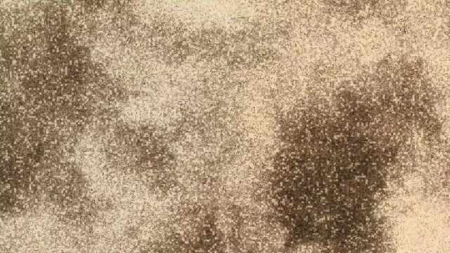 Animated abstract grunge background with sepia tones and heavy grain effect