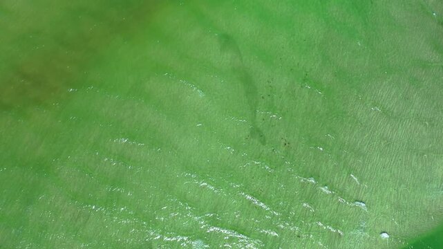 An overhead view shows thin white wave crests crossing pale green water beside a darker patch.