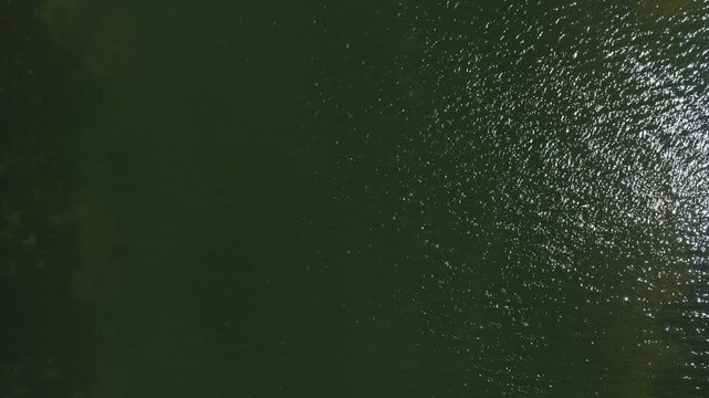 An overhead view of dark green water, with small ripples and sunlight glinting across the right side.