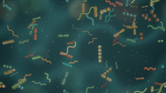 Gut microbiome bacteria ecosystem rod coccus and spiral microbes dividing in mucus seamless loop in subtle teal tones
