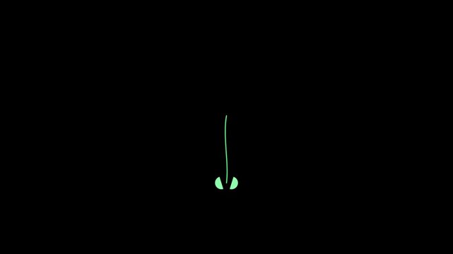 Minimal organic botanical bloom abstract motion background in a seamless loop