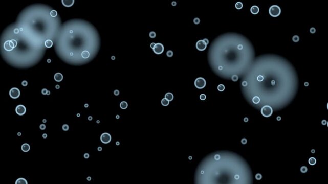 Rising bubbles overlay on black background seamless loop