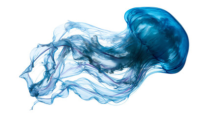 Translucent blue jellyfish with long flowing tentacles swimming in water © Elias