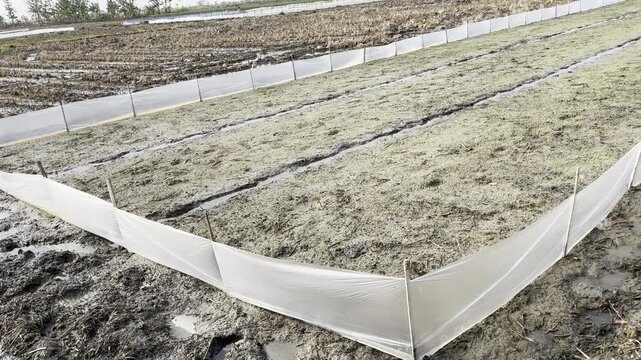 Agricultural soil beds with white plastic fence protection