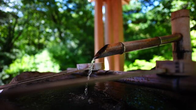 手水舎の竹筒から流れる清らかな水と鮮やかな新緑背景