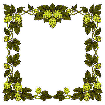 Vintage Hop Frame Border for Beer Brewing and Label Design