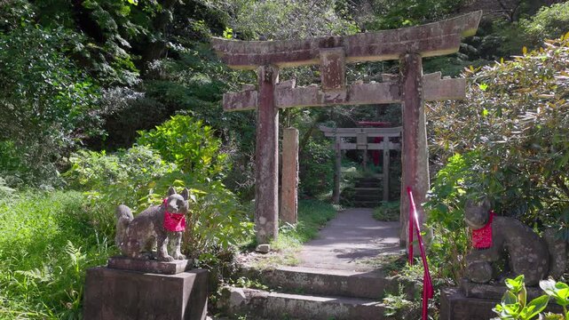 狐の石像と鳥居 稲荷神社の参道