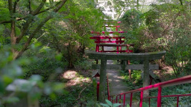 石鳥居と赤い鳥居が続く山の参道 新緑の神社
