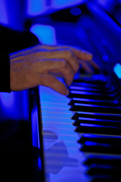 Musician Playing Synthesizer Keyboard In Blue Stage Lighting Close Up