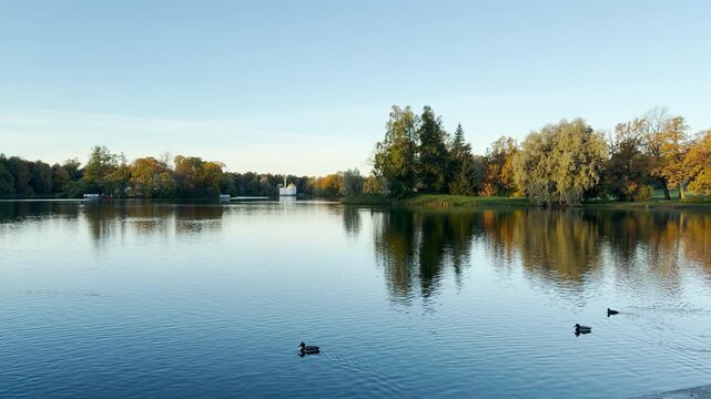 Tracking shot of an empty lake in Catherine Park, Pushkin, Saint Petersburg on gimbal. Smooth sideways motion captures birds over calm water, creating a serene mood, no people.