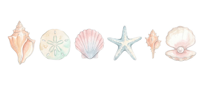 Watercolor seashell clam pearl starfish illustration set isolated on black background for ocean beach coastal summer decor banner, soft pastel sea shell clipart collection for nautical design