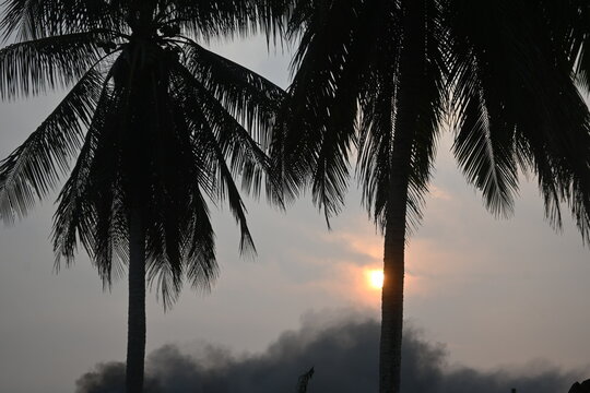 ​A striking silhouette view of two coconut palm trees, positioned prominently in the foreground. The sky is a blend of dusk or dawn, with the sun's rays piercing through near the horizon, partially ob