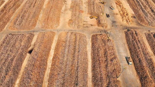 High-angle drone capture of a timber yard at a wood factory, showing stockpiled wood resources, industrial organization, and the supply base for processing, construction, wood product manufacturing.
