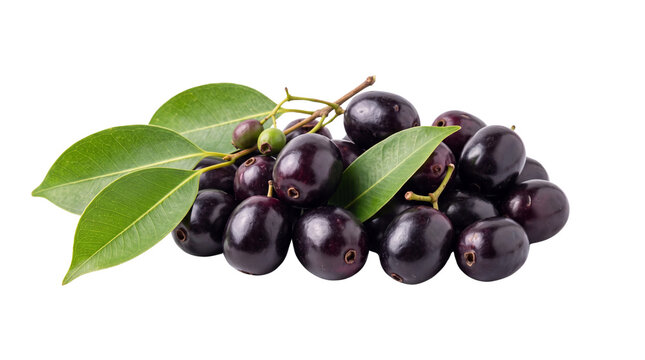 Fresh jamun fruits with green leaves, ripe java plum cluster, organic Syzygium cumini for healthy eating isolated PNG with Transparent Background