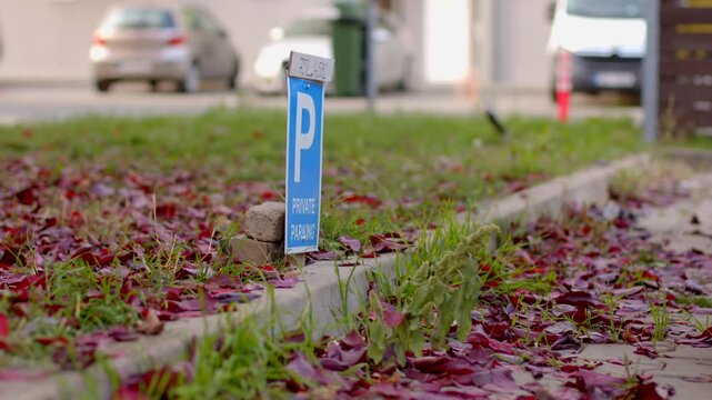 Ground-level street view of reserved parking marker fixed to curb, surrounded by fallen leaves and green grass. Residential buildings and cars blur softly in background.