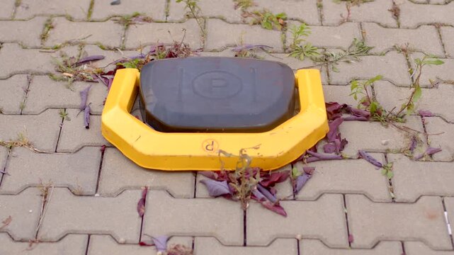 Close-up of yellow wheel lock on outdoor interlocking pavement, surrounded by dried leaves and small weeds in daylight.