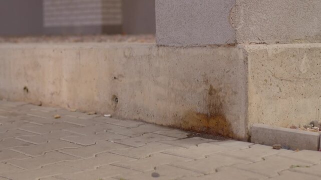 Detail view of stained concrete column base outside, with rust-colored runoff, weathered texture, and paving stones in neutral daylight, with small debris visible.