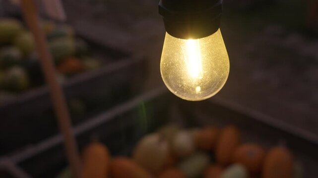Close up of halloween pumpkin patch lightbulb swinging