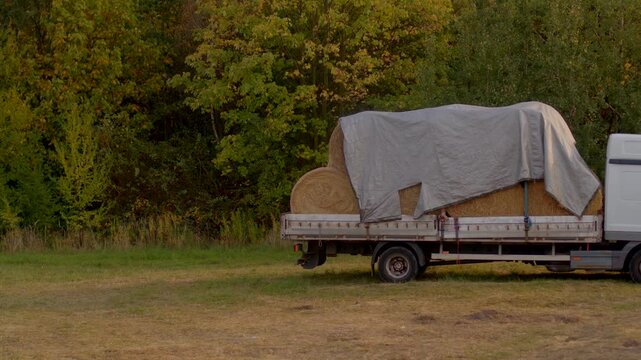 Flatbed truck loaded with large round hay bales covered by gray tarpaulin, parked on grassy clearing with autumn trees in background.