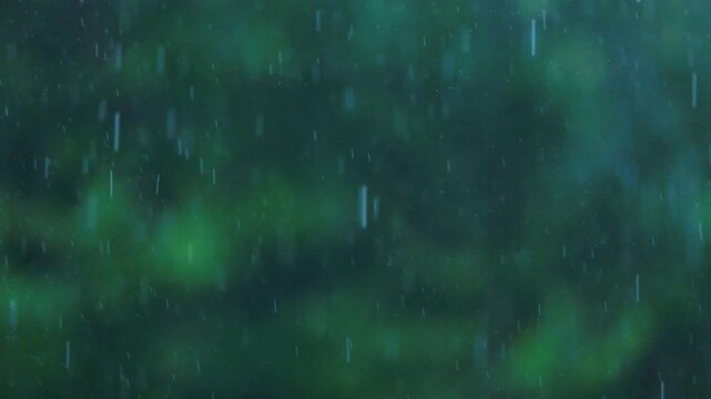 Details of the rain in a deciduous forest in spring in the Autonomous Community of Cantabria, Spain, Europe