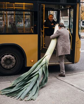 Man Boarding Bus with Giant Leek. Surreal public transport scene