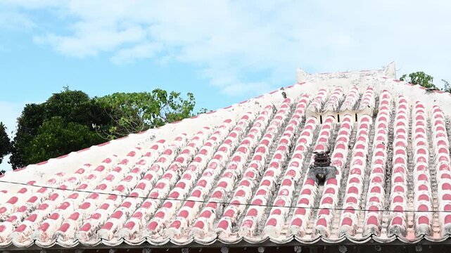 青空を背景にした琉球赤瓦の屋根とシーサー（沖縄の伝統的な民家・竹富島）
