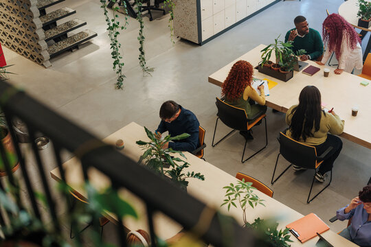Diverse business team collaborating in modern sustainable office