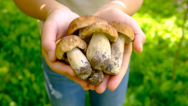 Wild mushrooms in a hand. Selective focus.