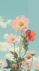 Fototapeta premium God craft collage flower outdoors blossom.