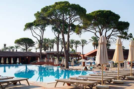 Beautiful view of the pool in the hotel with pine trees, umbrellas and sunbeds