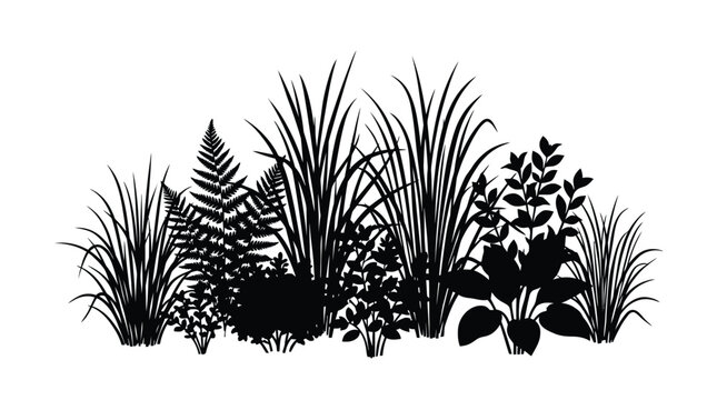 Cad tree lines Black plant silhouette collection, botanical garden grass and fern vector elements, wild meadow foliage and bush silhouettes on white background vector