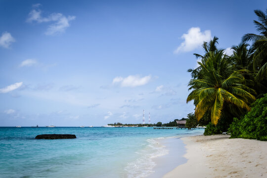 Tropical beach with turquoise ocean and palm trees in a beach