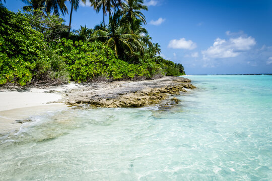 Tropical beach with clear turquoise water and palm trees in a beach