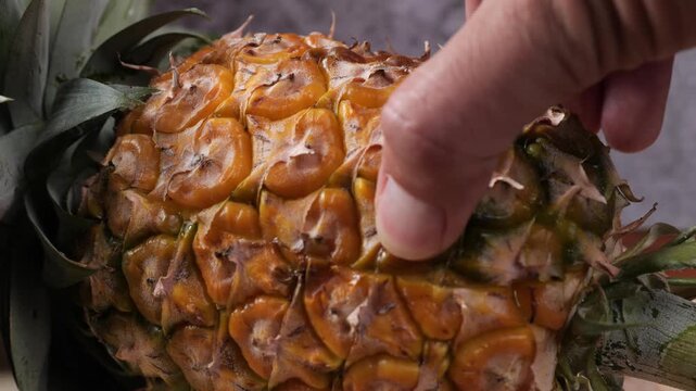 Close-up of juicy fresh pineapple flesh with dripping juice, macro view of cut tropical fruit