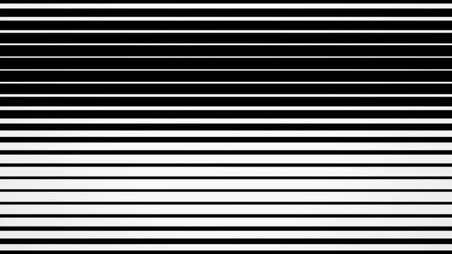 Black white zebra stripe wave optical illusion seamless loop