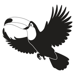 Fototapeta premium Flying Toucan Bird Vector Illustration – Minimalist Black Silhouette Flying Toucan Spread Wings Tropical Bird Logo Graphic