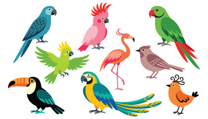 Fototapeta premium Tropical birds vector character collection. Parrot, toucan, flamingo, cockatoo, macaw, colorful feathers, wings and exotic wildlife.