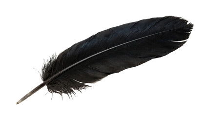 A single soft black bird feather isolated on a plain surface © MOST RUMANA BEGUM