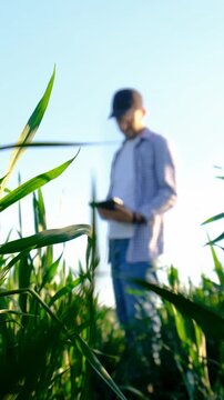 Farmer in the field. Selective focus.