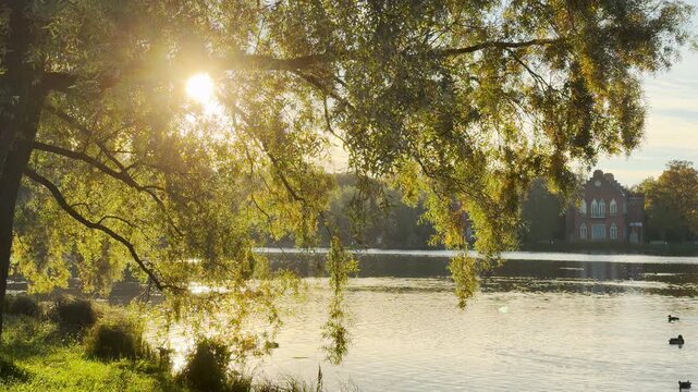 Sunlight illuminates trees over the lake and the Admiralty in Catherine Park, Pushkin, Saint Petersburg. Smooth forward motion creates peaceful, serene emotions.
