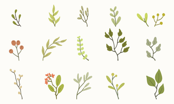Floral and botanical decorative elements in a beautiful hand-drawn style