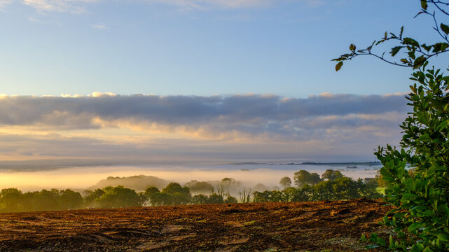 Misty autumn daybreak over Cornish countryside, symbolising a new beginning, a fresh start