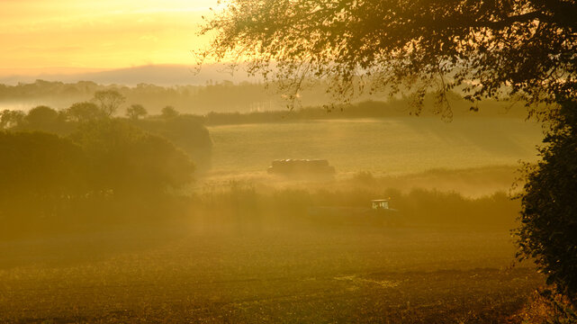 Misty autumn daybreak over Cornish countryside, symbolising a new beginning, a fresh start
