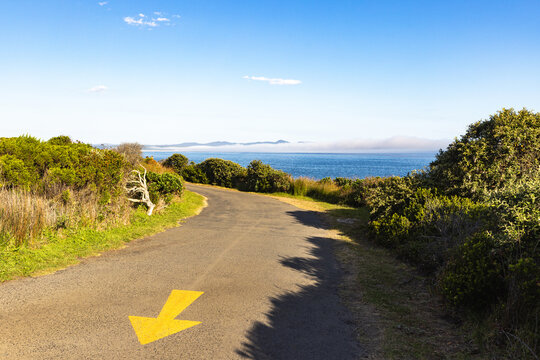 winding asphalt road above the beautiful cliff path with views to Walker Bay, Hermanus, South Africa