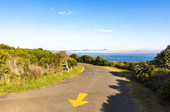 winding asphalt road above the beautiful cliff path with views to Walker Bay, Hermanus, South Africa