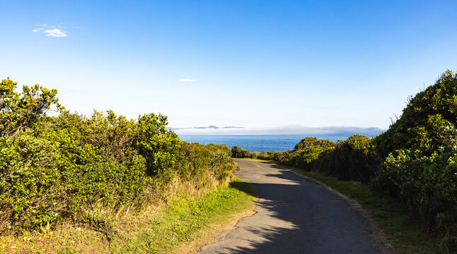 winding asphalt road above the beautiful cliff path with views to Walker Bay, Hermanus, South Africa