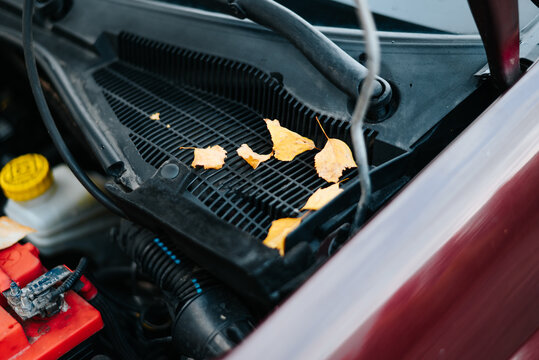 The car engine compartment displays fallen leaves resting on the engine cover and grill. This suggests a recent change in weather, indicating the transition of the seasons