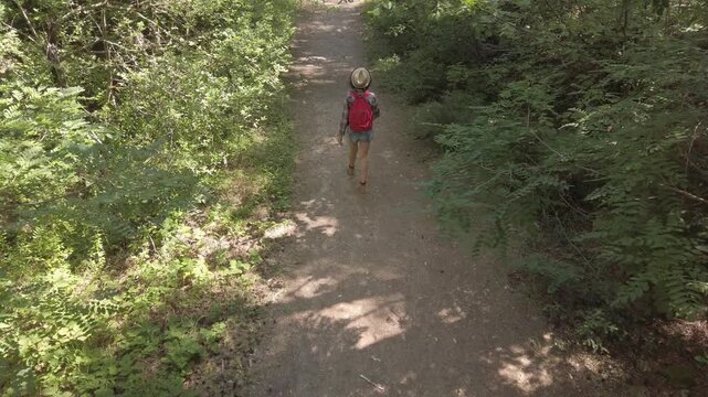 A young hiker girl is walking down a path in the woods. She is wearing a red backpack and a hat. The path is surrounded by trees and bushes, and the sunlight is shining through the leaves, aerial shot