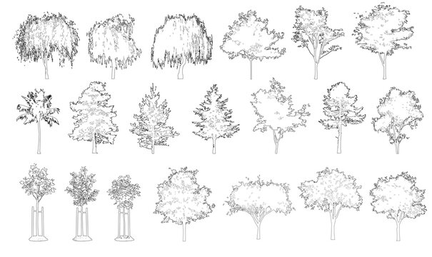 Pack of trees in elevation view for use in architectural drawings isolated on transparent background	